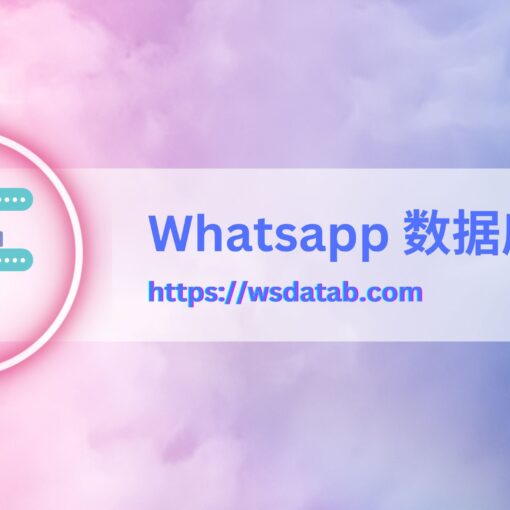 Whatsapp 数据库