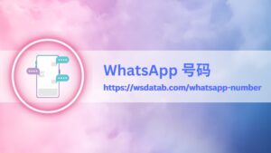 WhatsApp 号码