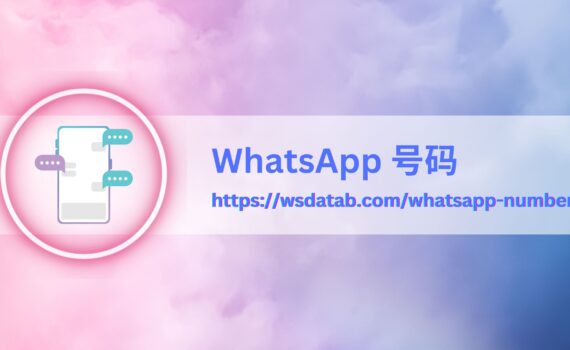 WhatsApp 号码