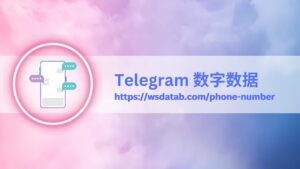 Telegram 数字数据