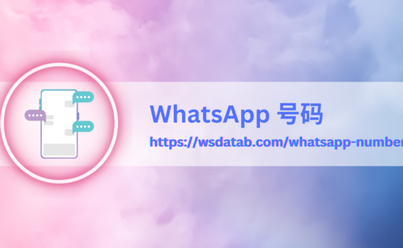 WhatsApp 号码