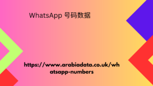 WhatsApp 号码数据