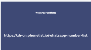 WhatsApp 号码数据库